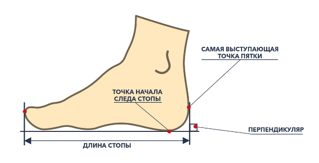 Обведення стопи