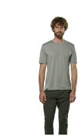Футболка Salewa Eagle Poem DRY Mns
