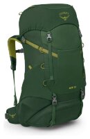 Рюкзак Osprey Ace 38