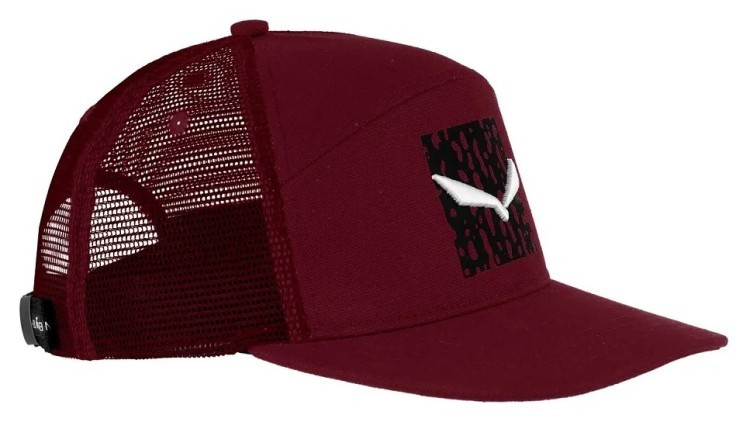 Кепка Salewa Pure Salamander Logo Wms, GRG_013.012.0503