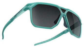 Окуляри Dynafit Traverse Sunglasses