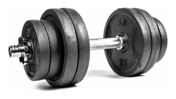 Гантель разборный RN-Sport 16 кг (RN_QTR16), RNS_RN_QTR16