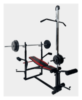 Скамья тренировочная 0070 + Верхняя тяга + Бруся + Приставка Cкотта