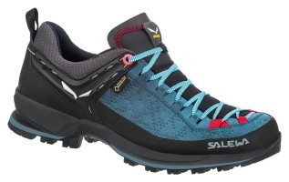 Кроссовки Salewa WS MTN Trainer 2 GTX