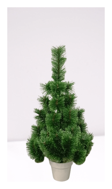 Сосна Распушенная в горшке зеленая, 8786891