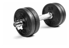 Гантель разборный металлический RN-Sport 6 кг (RN_QTR06)