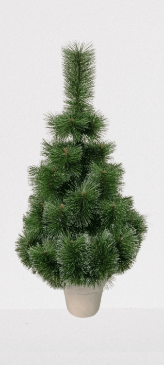 Сосна Микс в горшке заснежена, 5641251