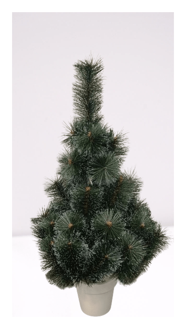 Сосна в горшке заснежена, 5919901