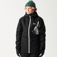 Picture Organic куртка лижна Daumy Jr 2026 black 10