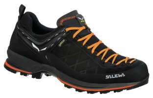 Кросівки Salewa MS MTN Trainer 2 GTX