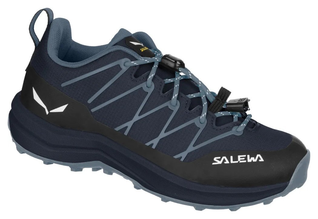 Кроссовки Salewa Wildfire 2 Jr, GRG_013.001.6603
