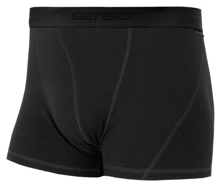 Термотрусы мужские Sensor Merino DF black 15100027, SM21M-black, SM21M-black-M