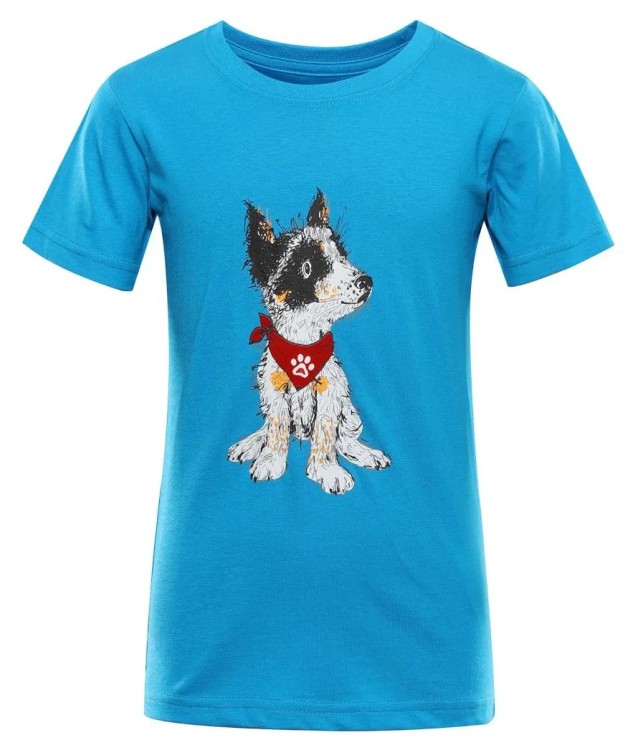 Футболка Alpine Pro Ecomo 3, GRG_007.022.0020