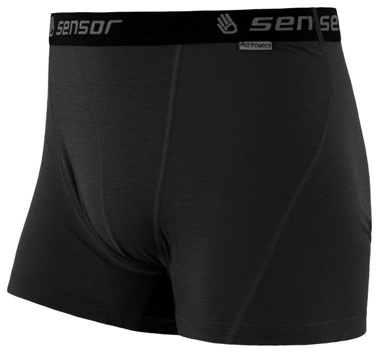 Термотрусы мужские Sensor Merino Active black 12110021, SM21MA-black, SM21MA-black-L
