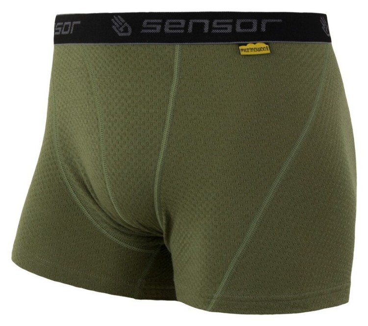 Термотрусы мужские Sensor Merino DF safari 17200035, SM21M-safari, SM21M-safari-L
