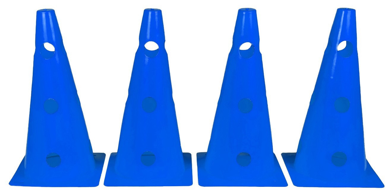 Конусы-фишки спортивные EasyFit 31 см (набор из 4 штук) синие, EFIT_EF-1679-4BL