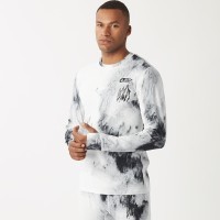 Picture Organic реглан Lhotse Printed snowy pine print L