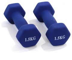 ГАНТЕЛИ 1.5 кг BAVAR SPOR
