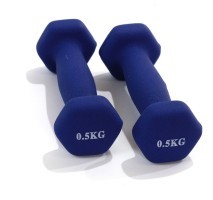 ГАНТЕЛИ  0.5 кг BAVAR SPORT