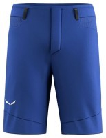 Шорты Salewa Agner DST Mns
