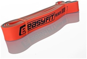 Двухслойная резинка для подтягивания EasyFit Premium 25-45 кг