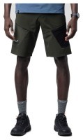 Шорты Salewa Pedroc 3 DST Cargo Mns