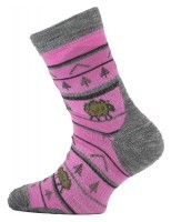 Шкарпетки Lasting TJL